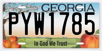 GA license plate PYW1785