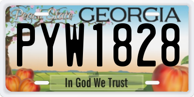 GA license plate PYW1828