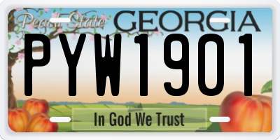 GA license plate PYW1901