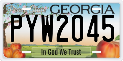 GA license plate PYW2045