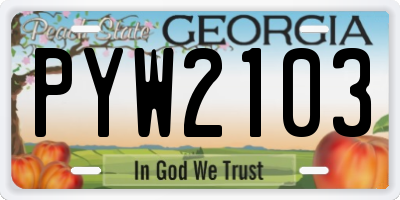 GA license plate PYW2103