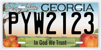 GA license plate PYW2123