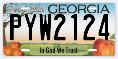 GA license plate PYW2124