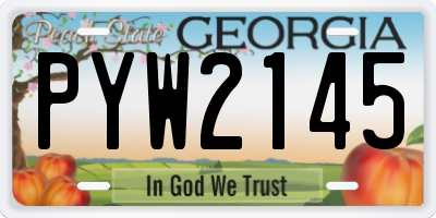 GA license plate PYW2145