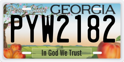 GA license plate PYW2182