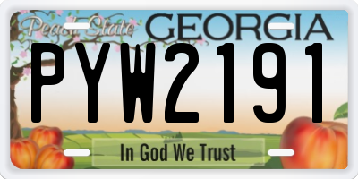 GA license plate PYW2191