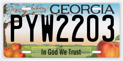 GA license plate PYW2203