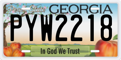 GA license plate PYW2218