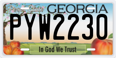 GA license plate PYW2230
