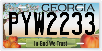 GA license plate PYW2233