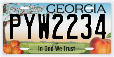 GA license plate PYW2234