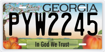 GA license plate PYW2245