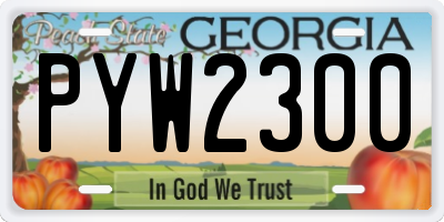 GA license plate PYW2300