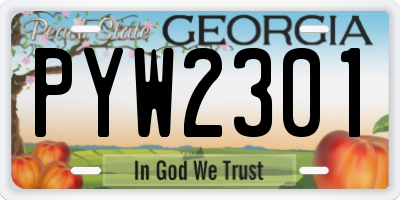 GA license plate PYW2301