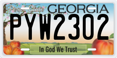GA license plate PYW2302