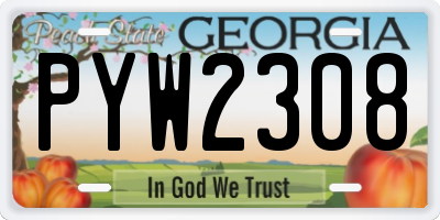 GA license plate PYW2308
