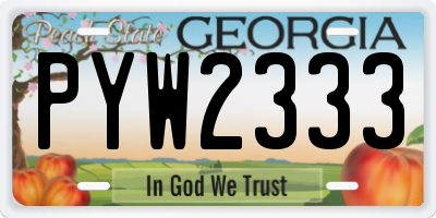 GA license plate PYW2333