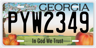 GA license plate PYW2349