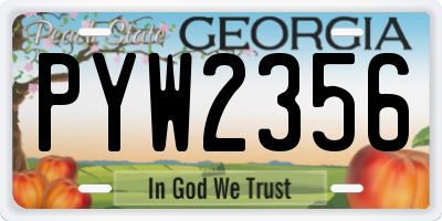 GA license plate PYW2356