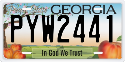 GA license plate PYW2441
