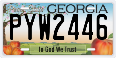 GA license plate PYW2446