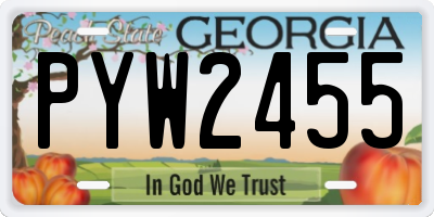 GA license plate PYW2455
