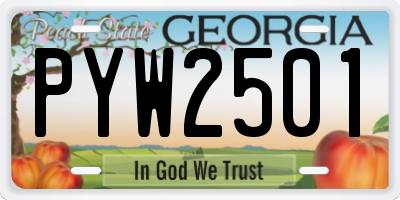 GA license plate PYW2501