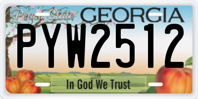 GA license plate PYW2512