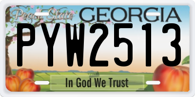 GA license plate PYW2513