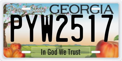 GA license plate PYW2517