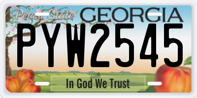 GA license plate PYW2545