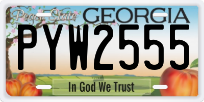GA license plate PYW2555
