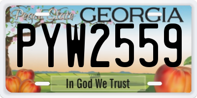GA license plate PYW2559