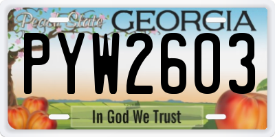 GA license plate PYW2603
