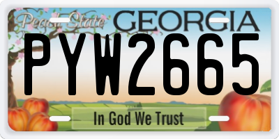 GA license plate PYW2665