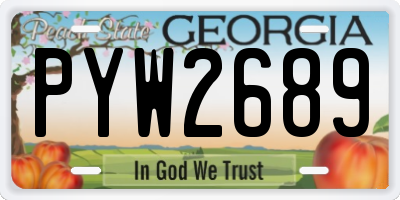GA license plate PYW2689