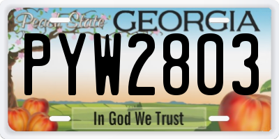 GA license plate PYW2803