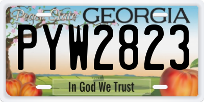 GA license plate PYW2823