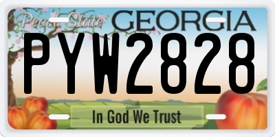 GA license plate PYW2828