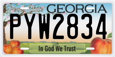 GA license plate PYW2834
