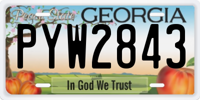 GA license plate PYW2843