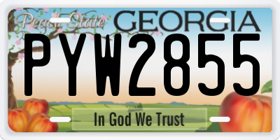 GA license plate PYW2855
