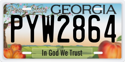 GA license plate PYW2864