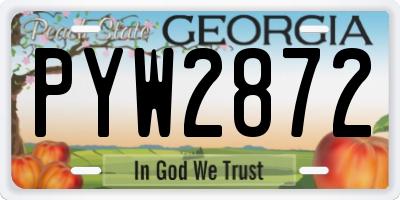GA license plate PYW2872
