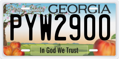 GA license plate PYW2900