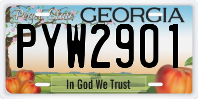 GA license plate PYW2901
