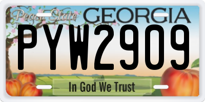 GA license plate PYW2909