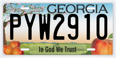 GA license plate PYW2910