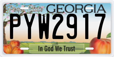 GA license plate PYW2917