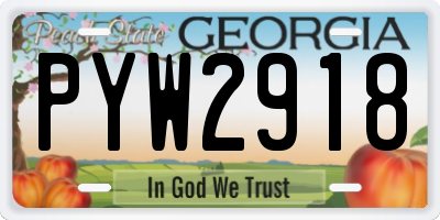 GA license plate PYW2918
